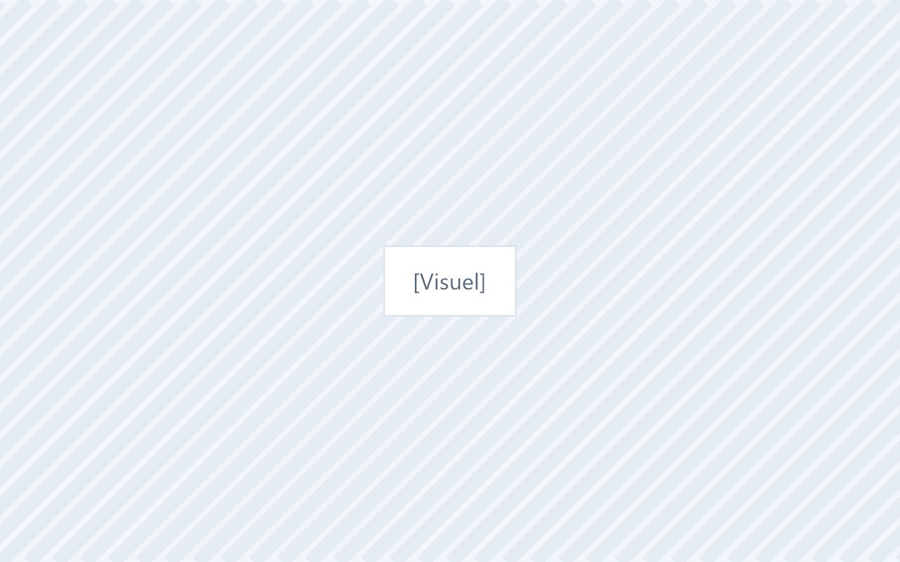 Visuel